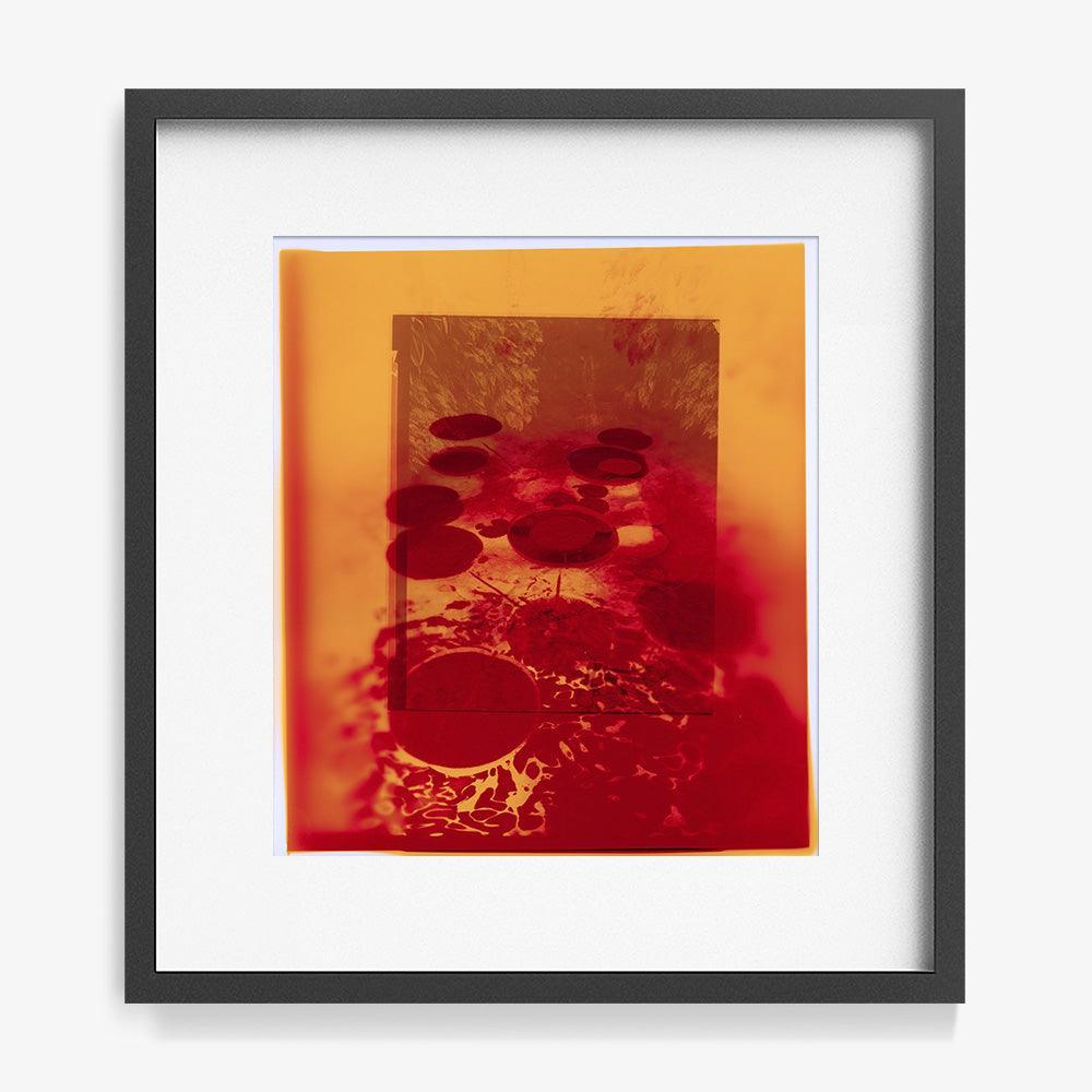 Photograph by Katie Burdon