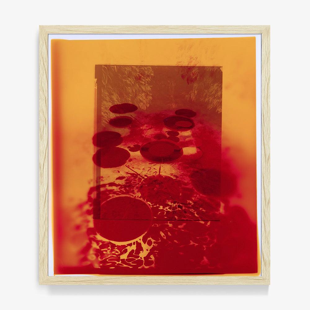 Photograph by Katie Burdon