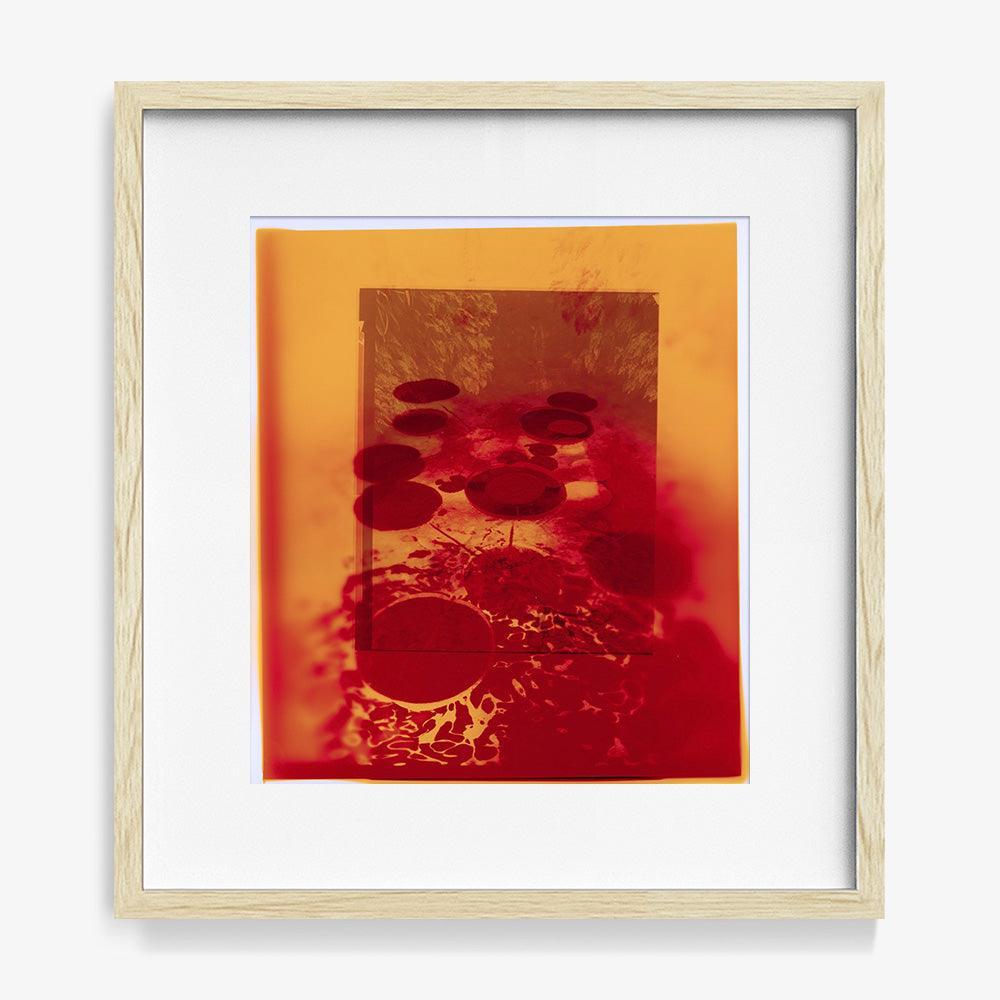 Photograph by Katie Burdon