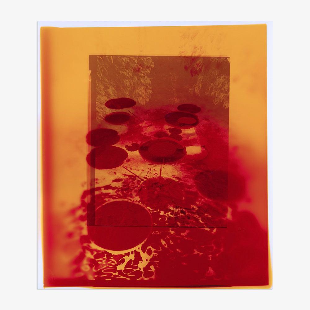 Photograph by Katie Burdon