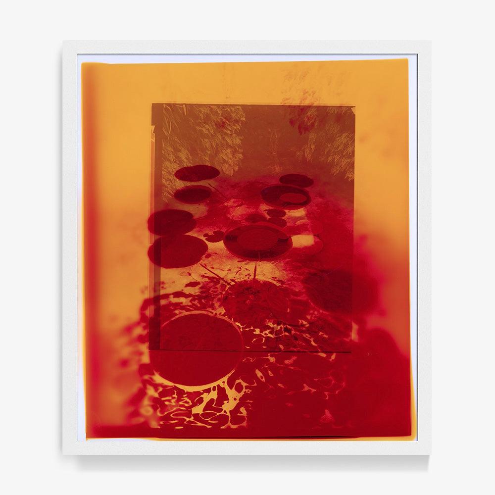 Photograph by Katie Burdon