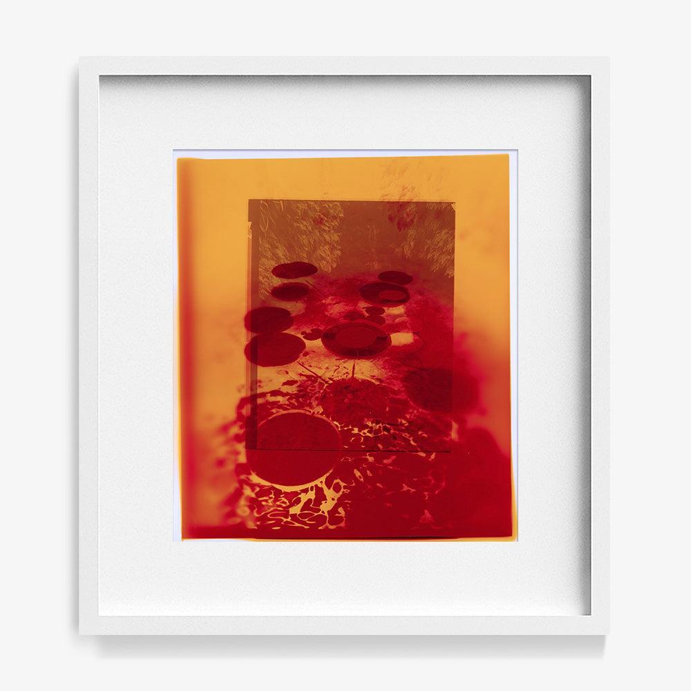 Photograph by Katie Burdon