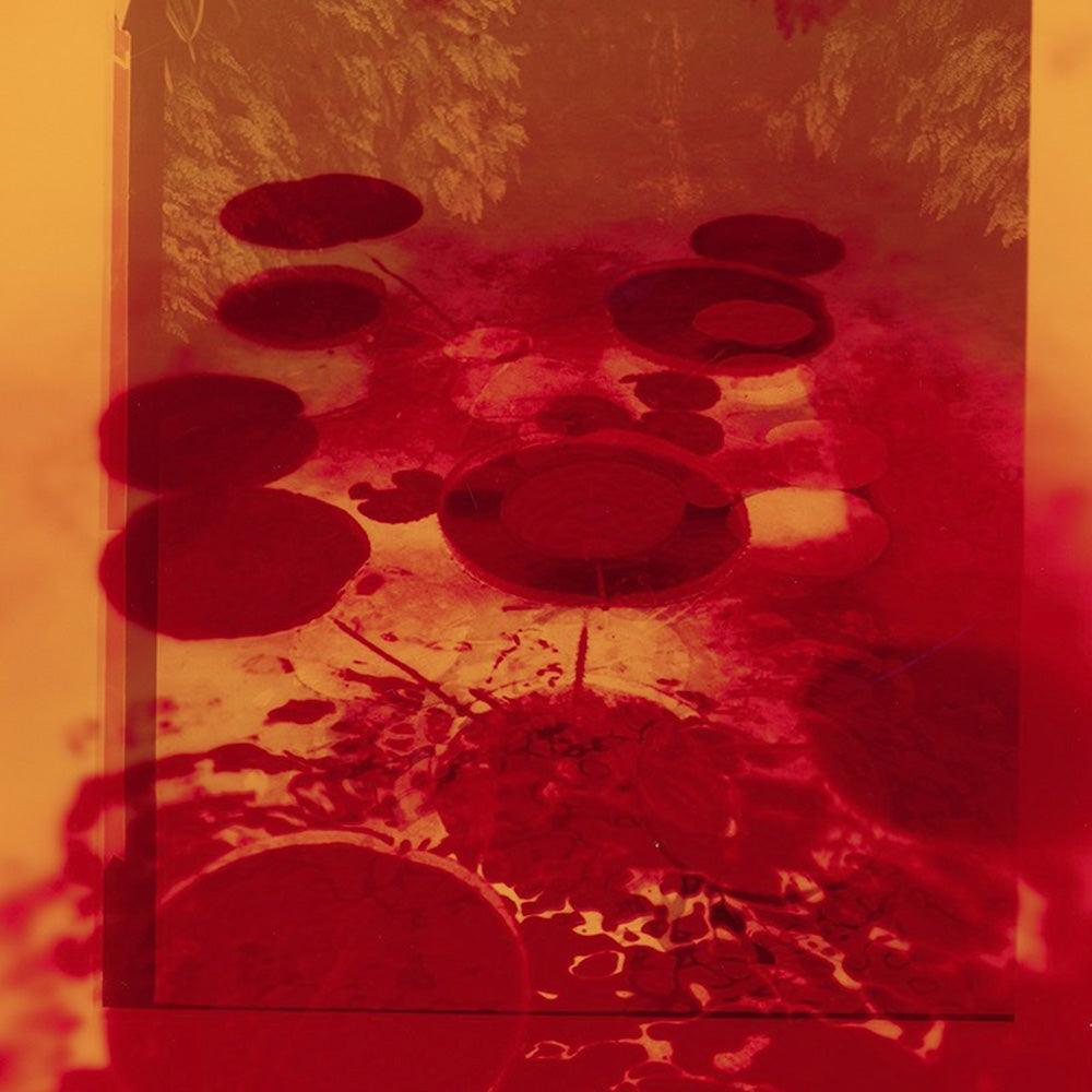 Photograph by Katie Burdon