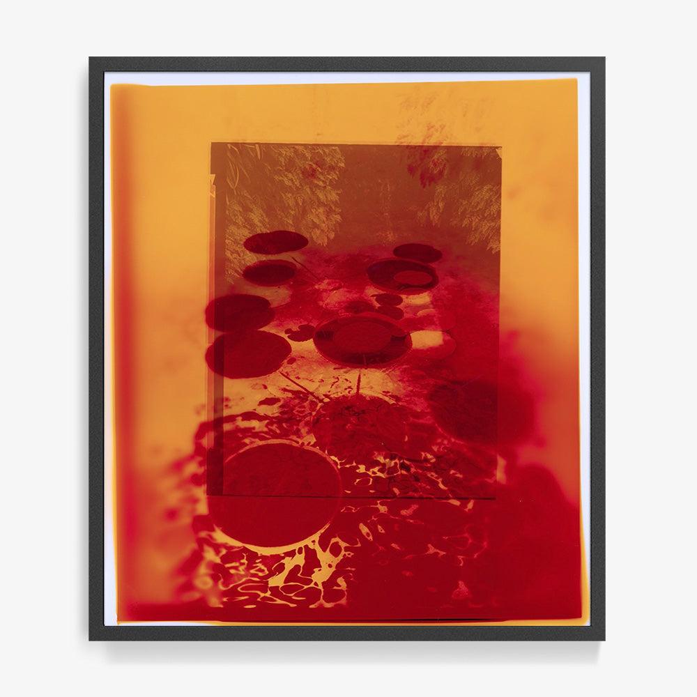 Photograph by Katie Burdon