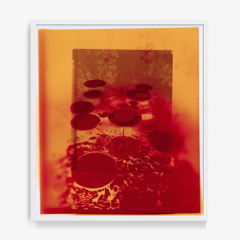 Photograph by Katie Burdon