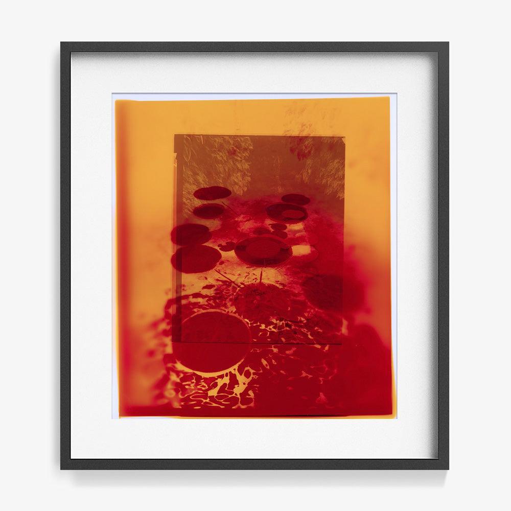 Photograph by Katie Burdon