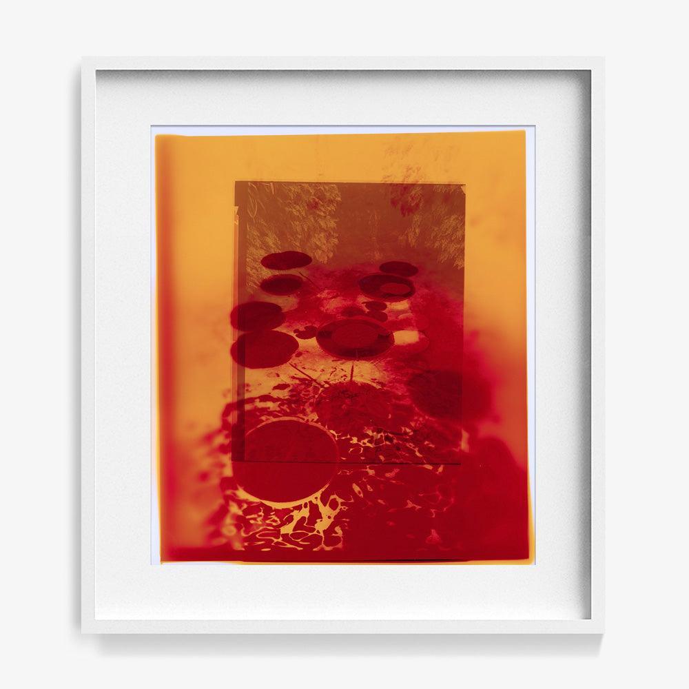 Photograph by Katie Burdon