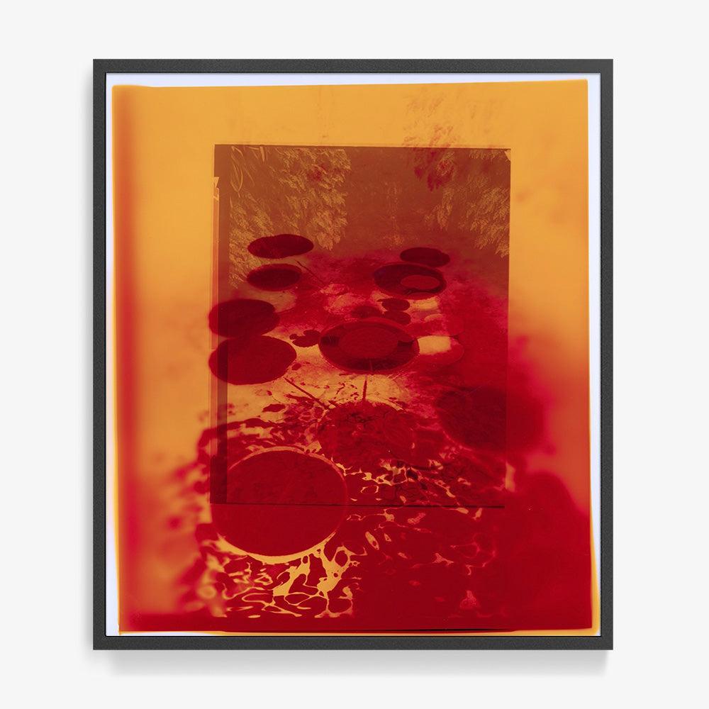 Photograph by Katie Burdon