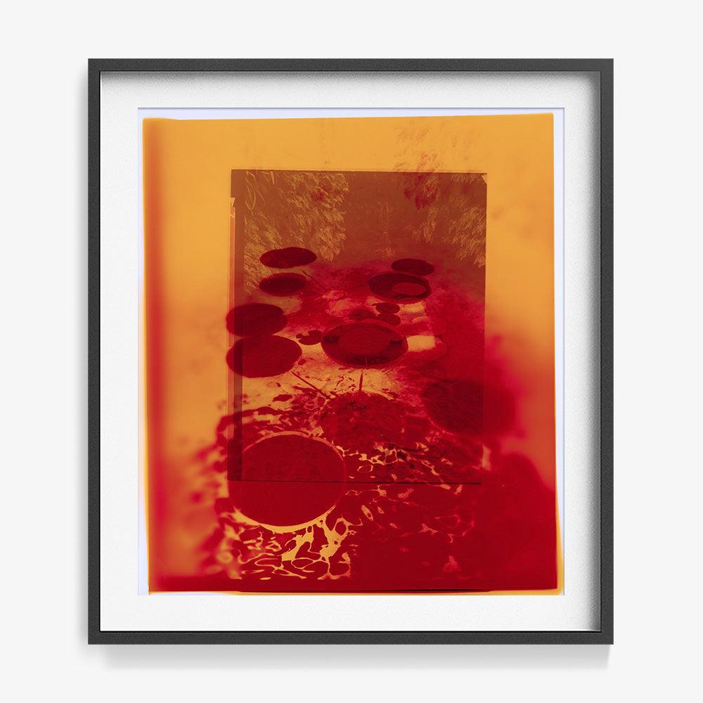 Photograph by Katie Burdon