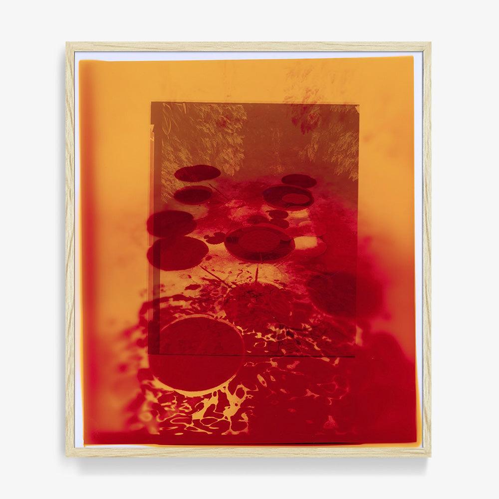 Photograph by Katie Burdon