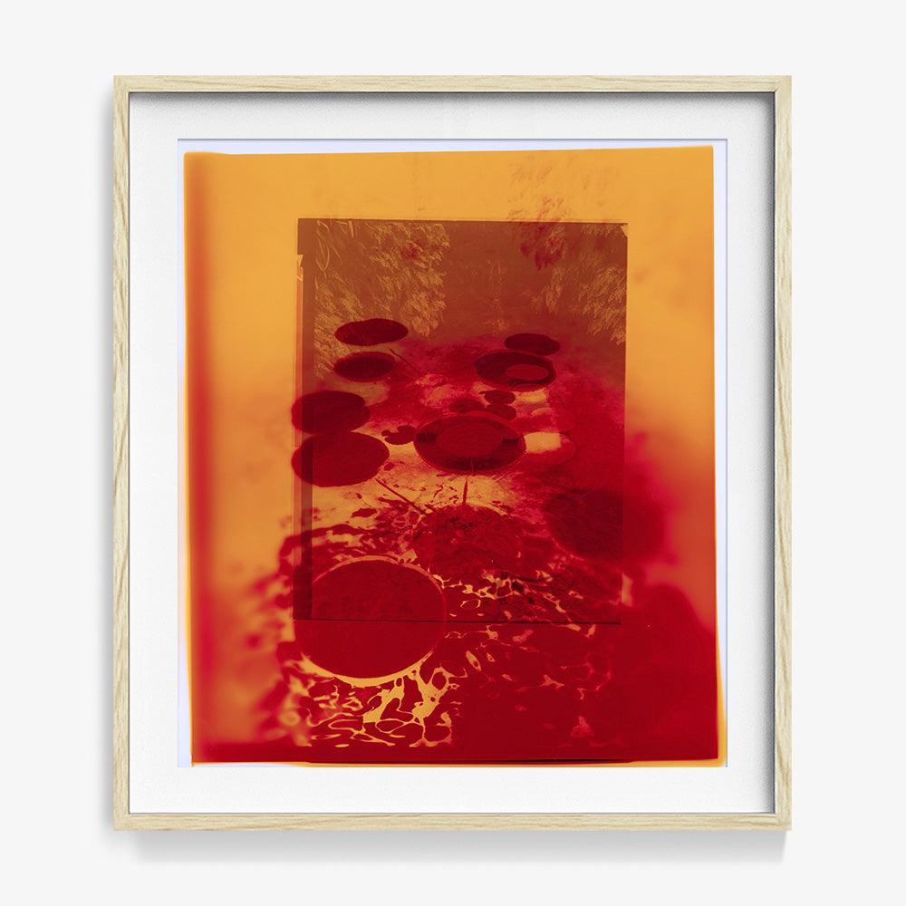 Photograph by Katie Burdon