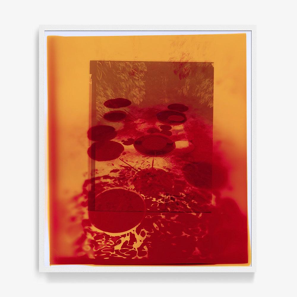 Photograph by Katie Burdon