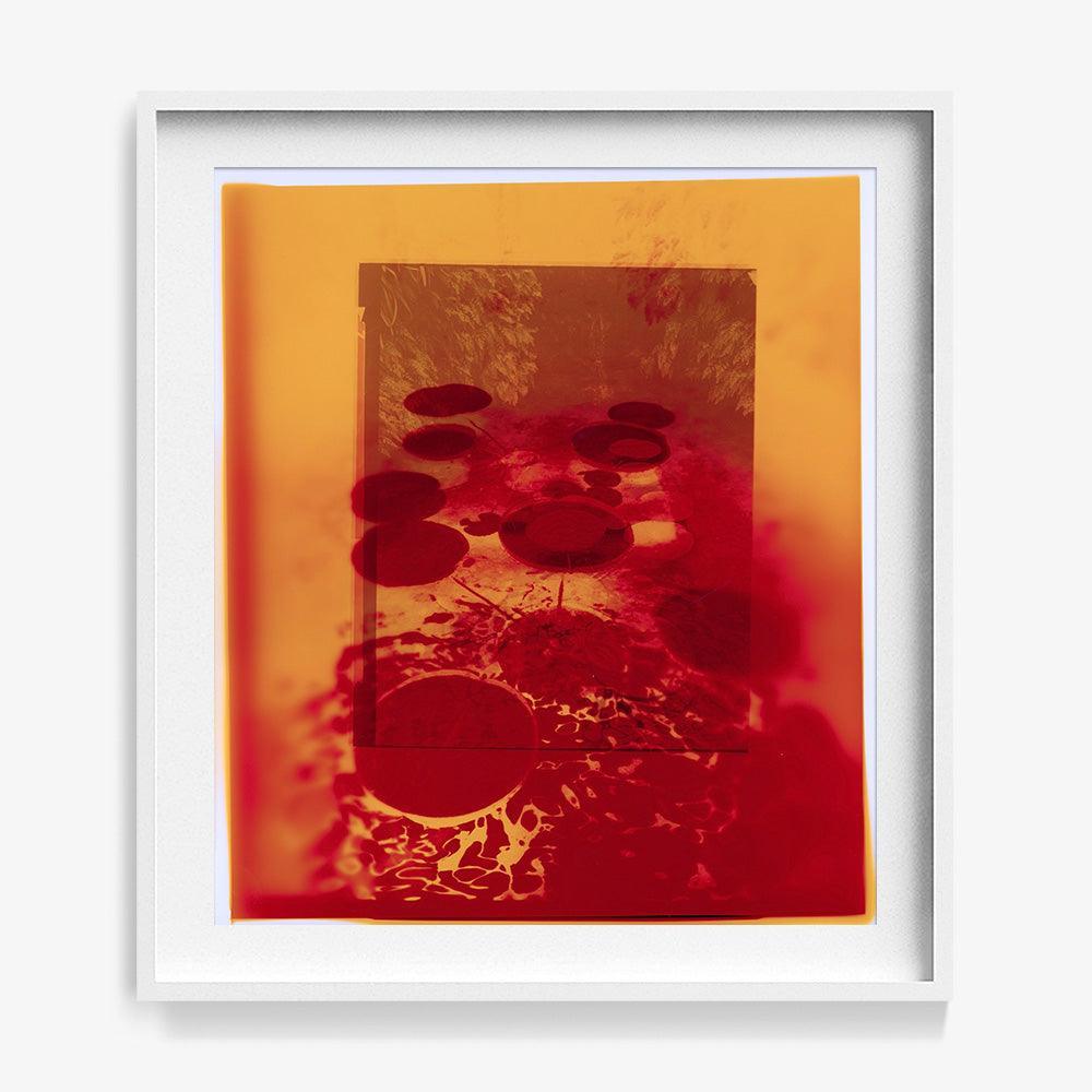 Photograph by Katie Burdon