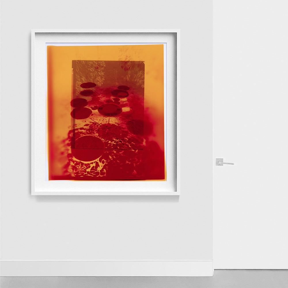 Photograph by Katie Burdon