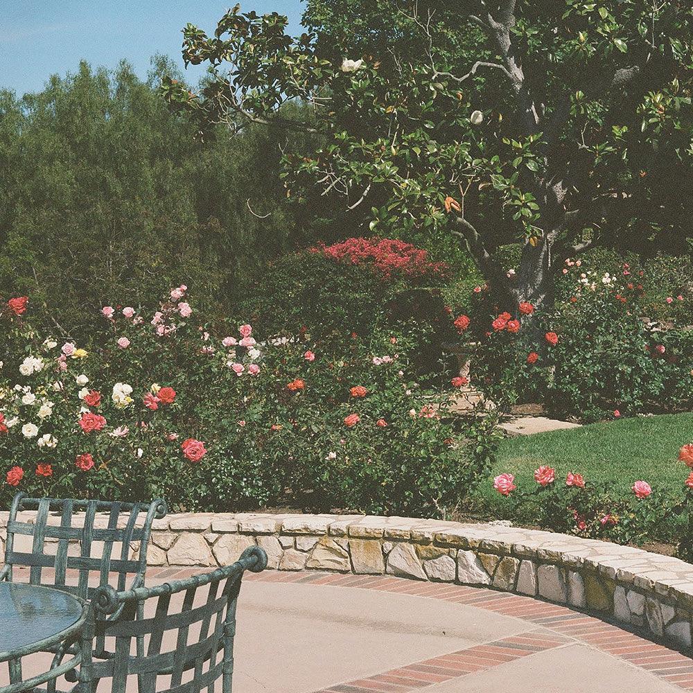 Photograph by Gia Coppola