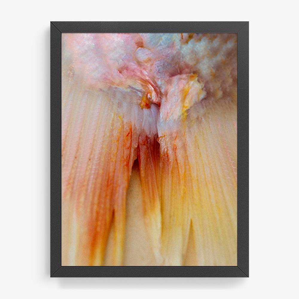 Photograph by Katie Burdon