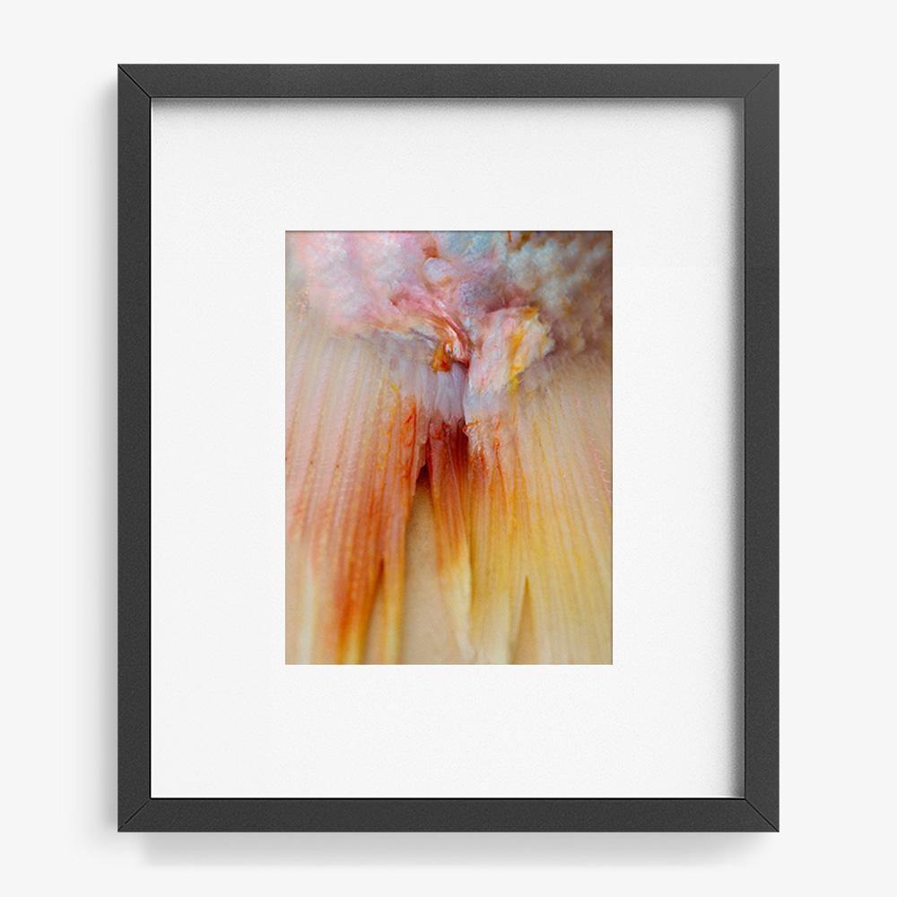 Photograph by Katie Burdon