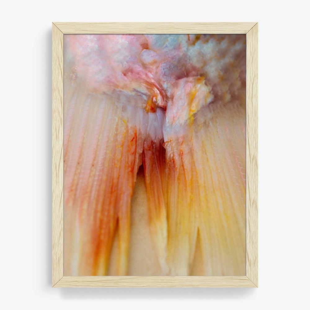 Photograph by Katie Burdon