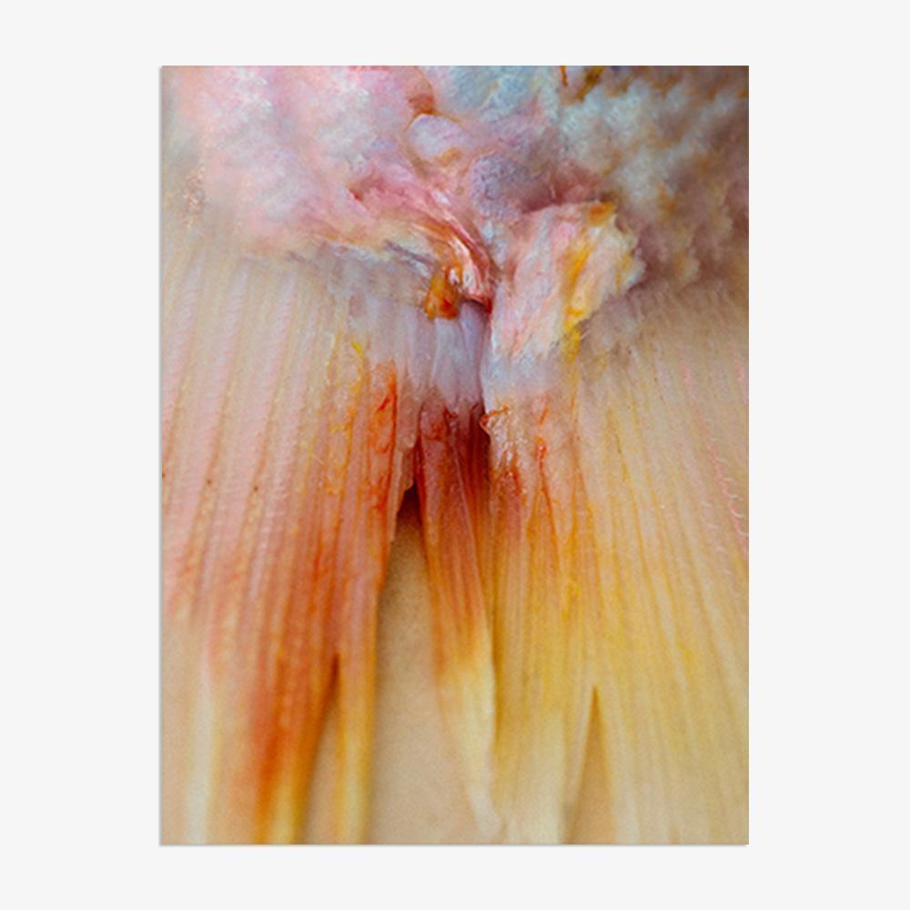 Photograph by Katie Burdon