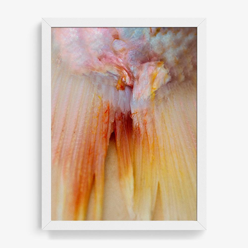 Photograph by Katie Burdon