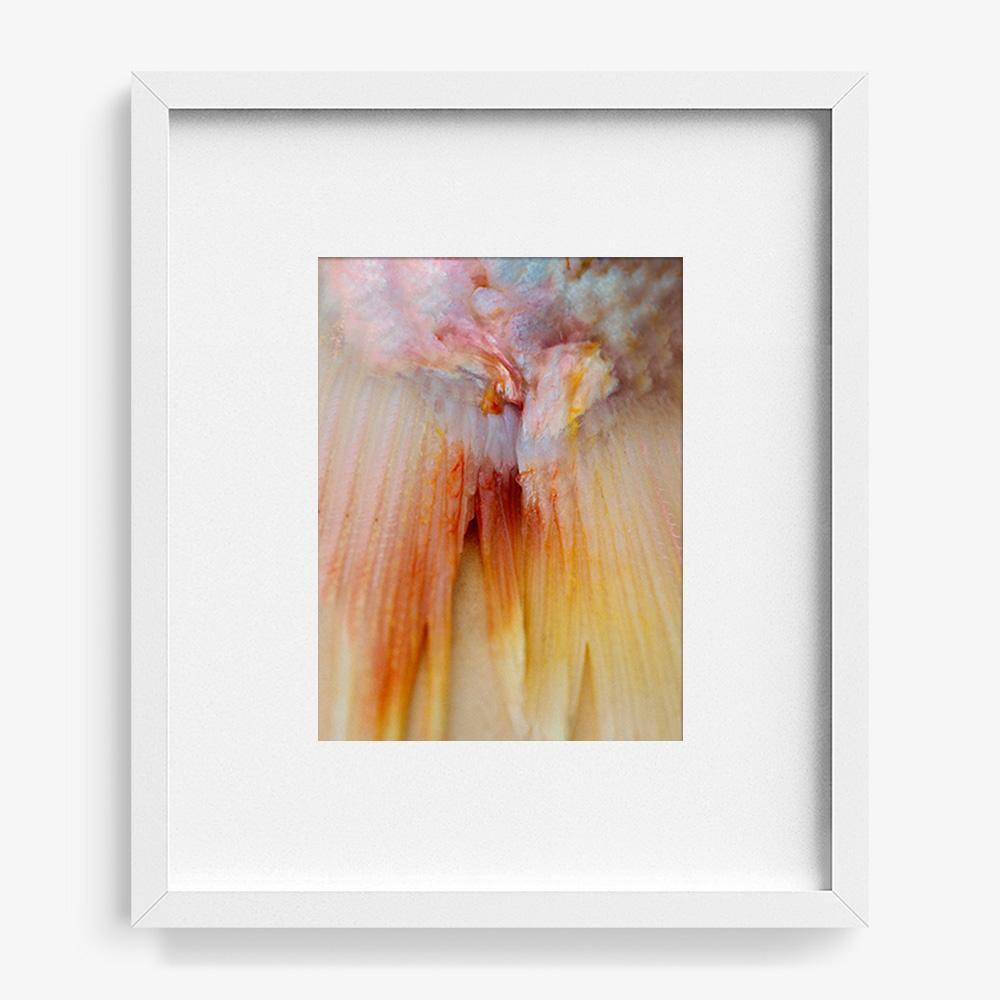 Photograph by Katie Burdon