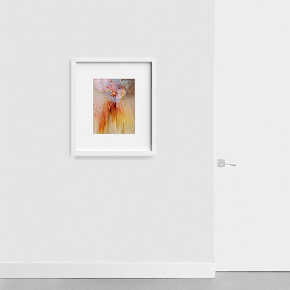 Photograph by Katie Burdon