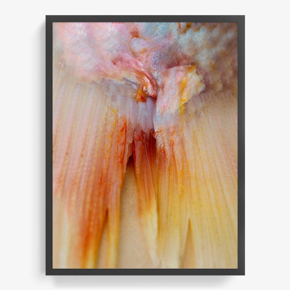 Photograph by Katie Burdon