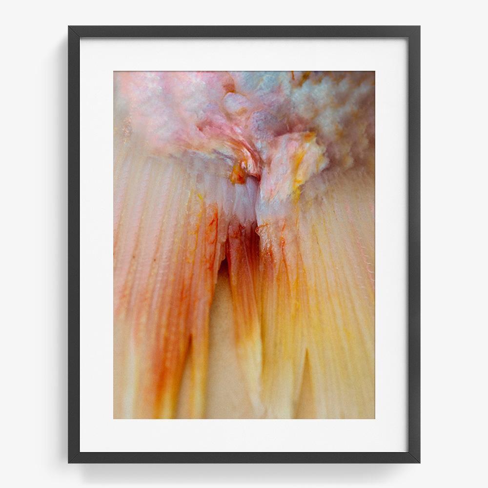 Photograph by Katie Burdon