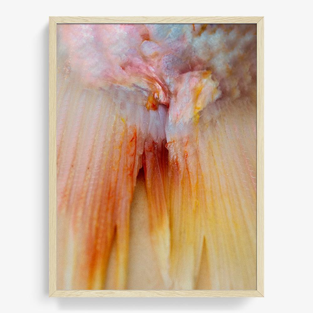 Photograph by Katie Burdon