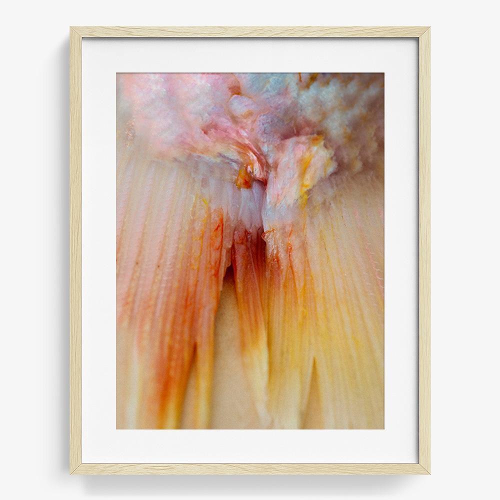 Photograph by Katie Burdon