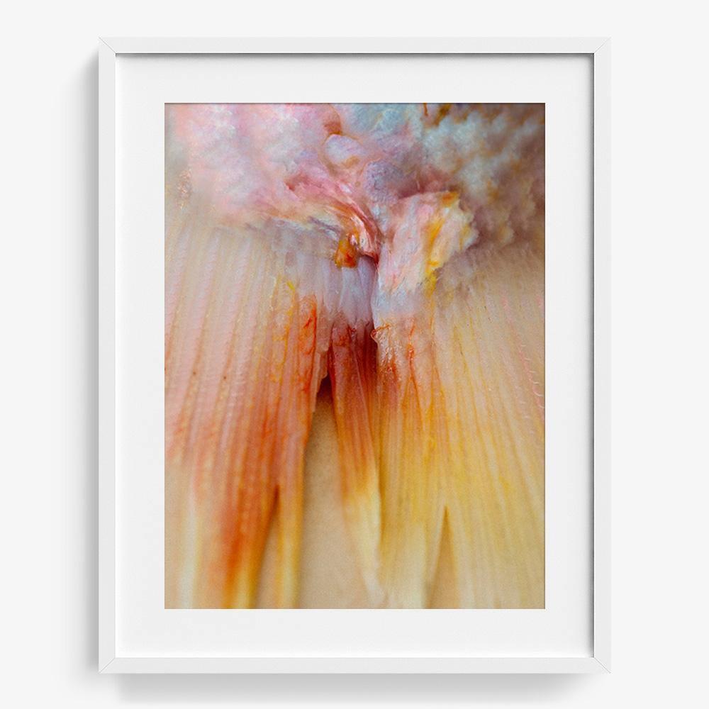 Photograph by Katie Burdon