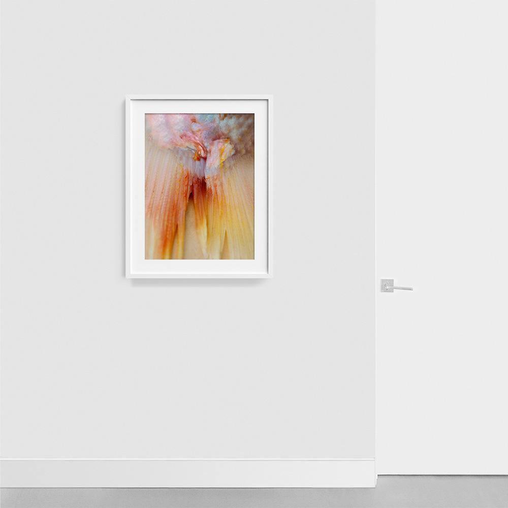 Photograph by Katie Burdon