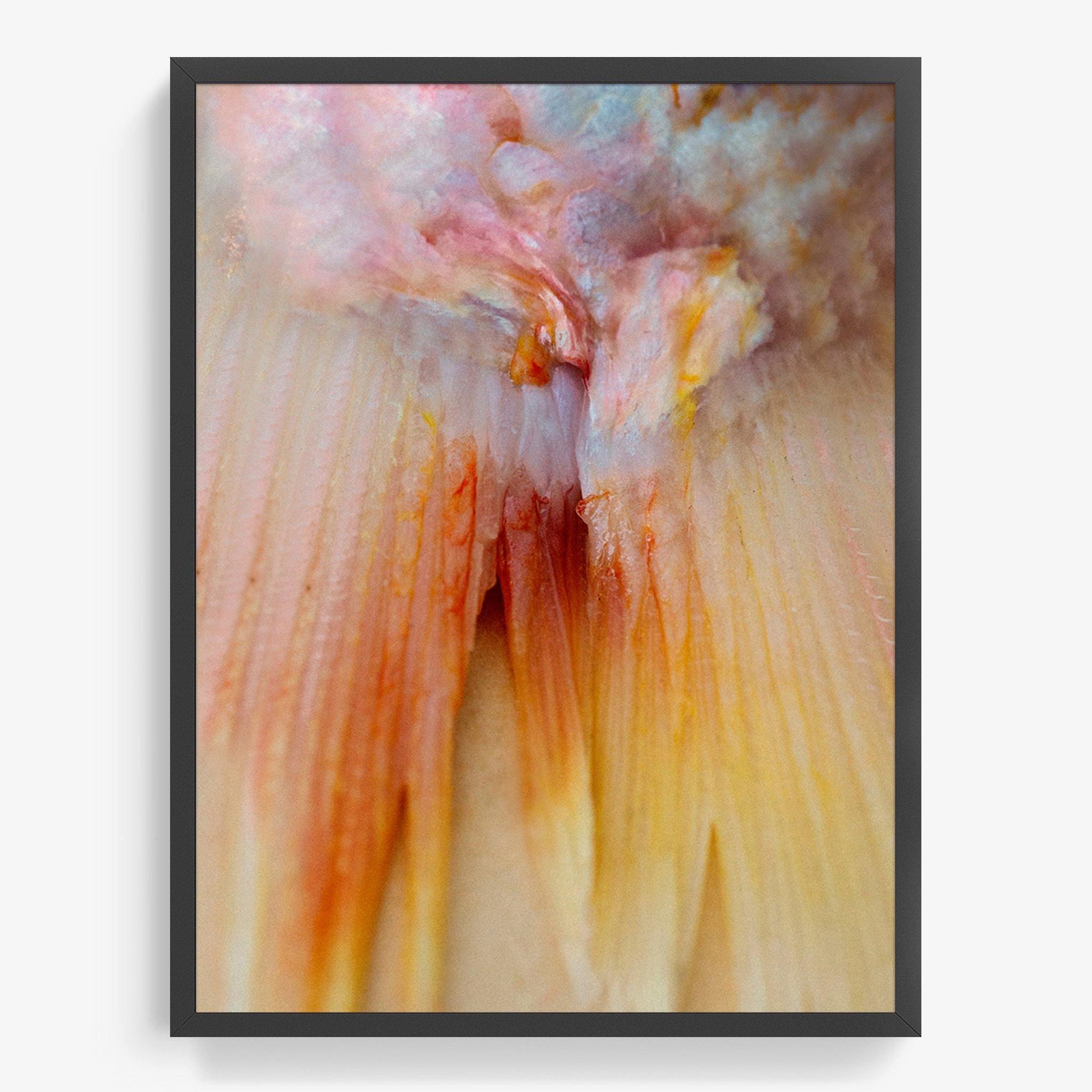 Photograph by Katie Burdon