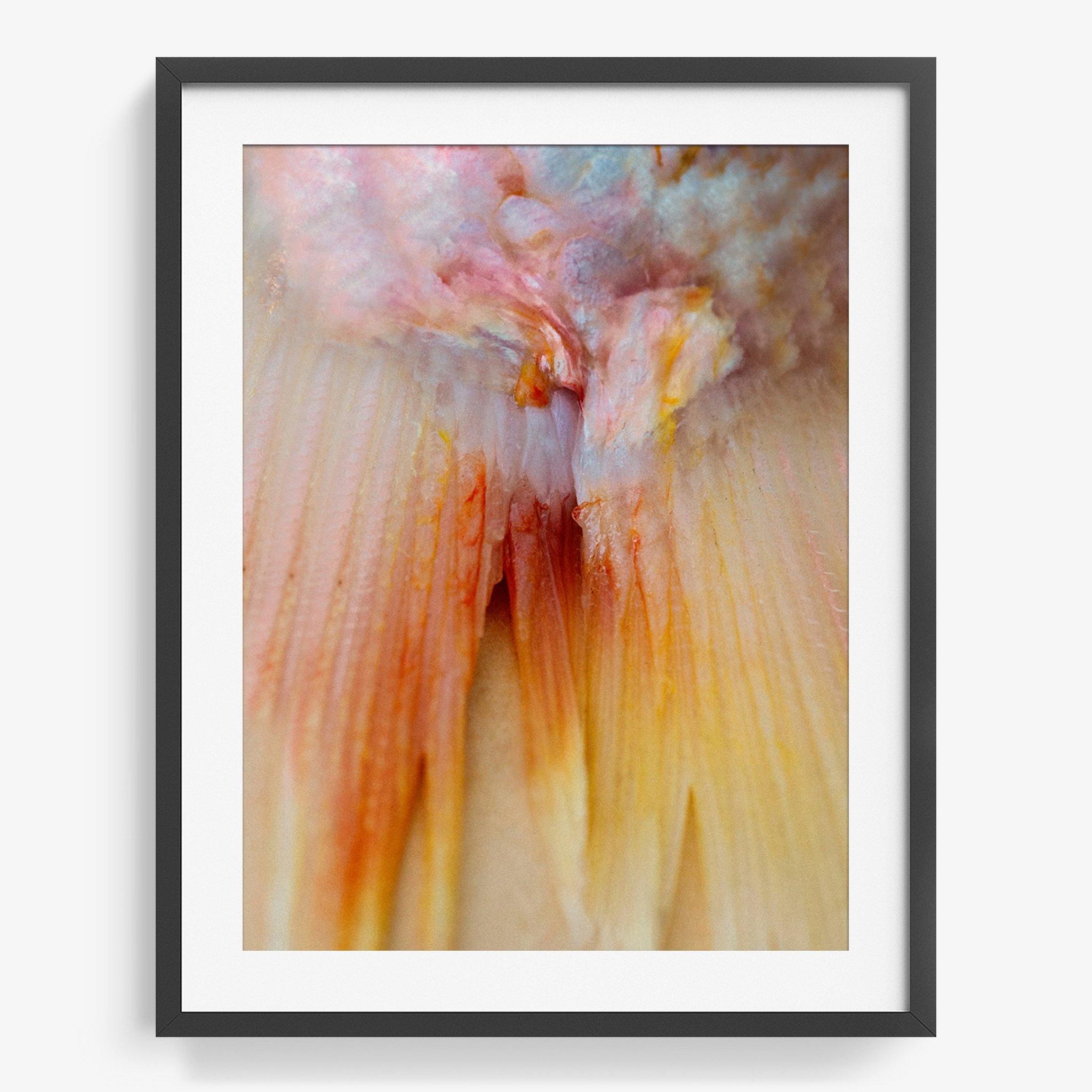 Photograph by Katie Burdon