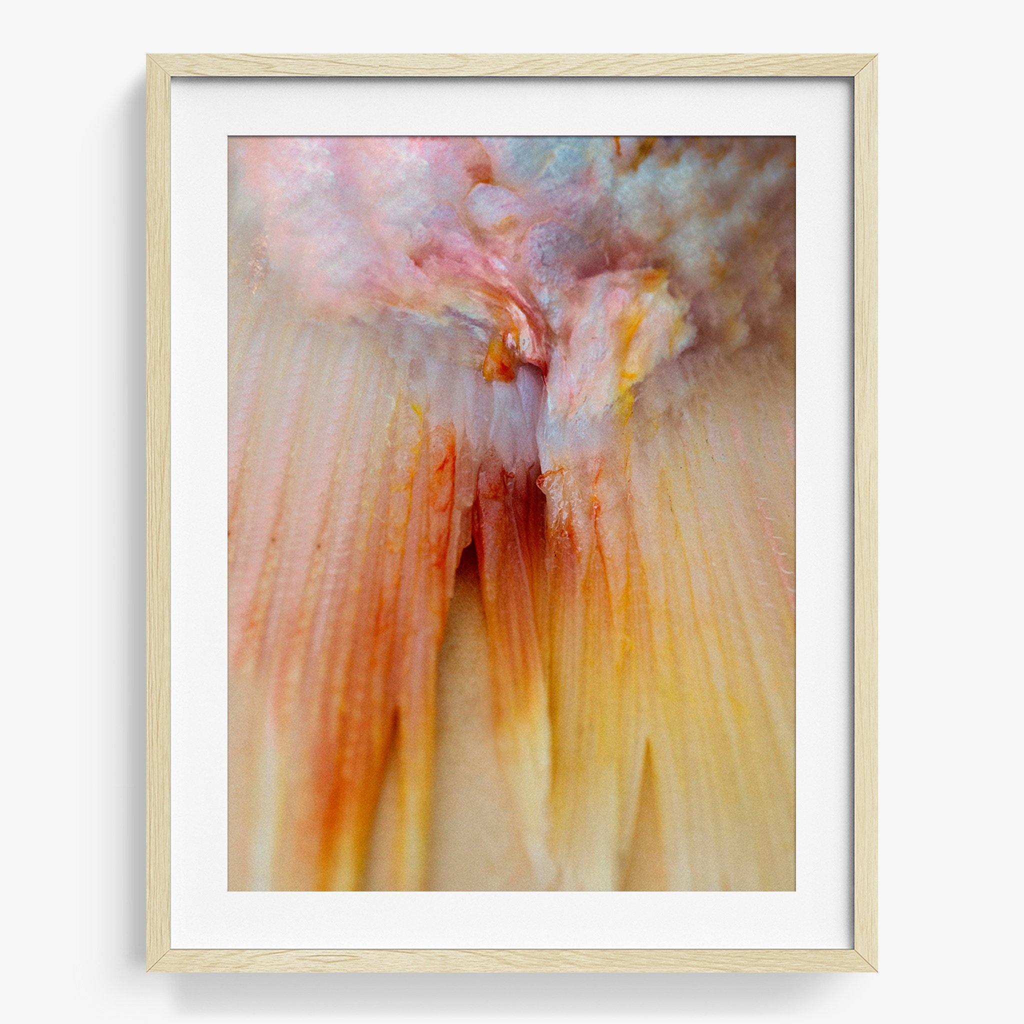 Photograph by Katie Burdon