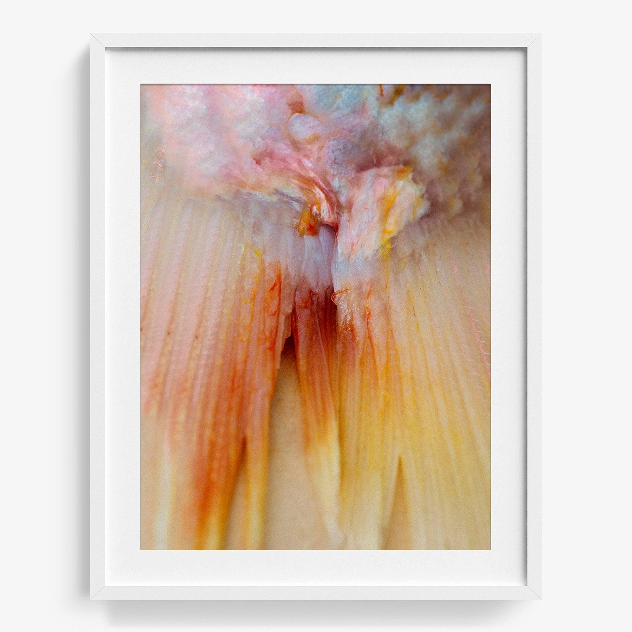 Photograph by Katie Burdon