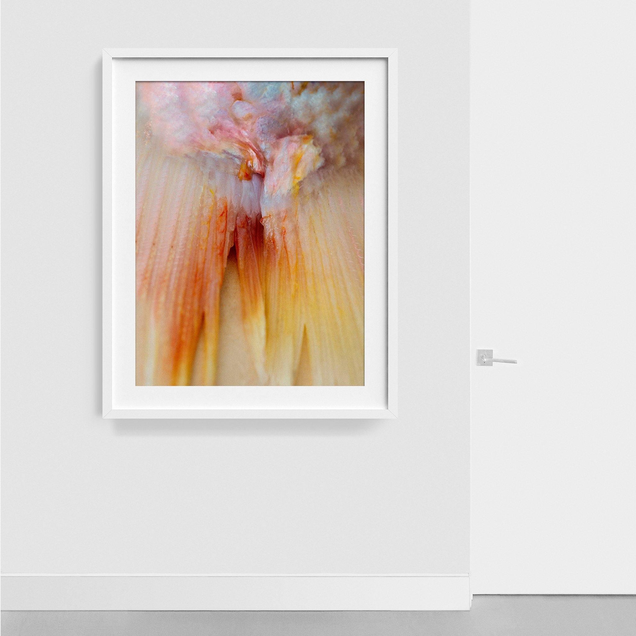 Photograph by Katie Burdon