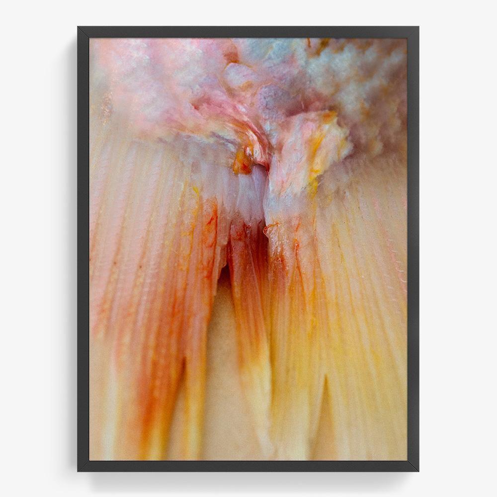 Photograph by Katie Burdon