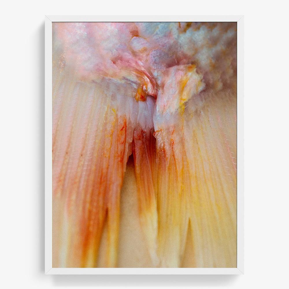 Photograph by Katie Burdon