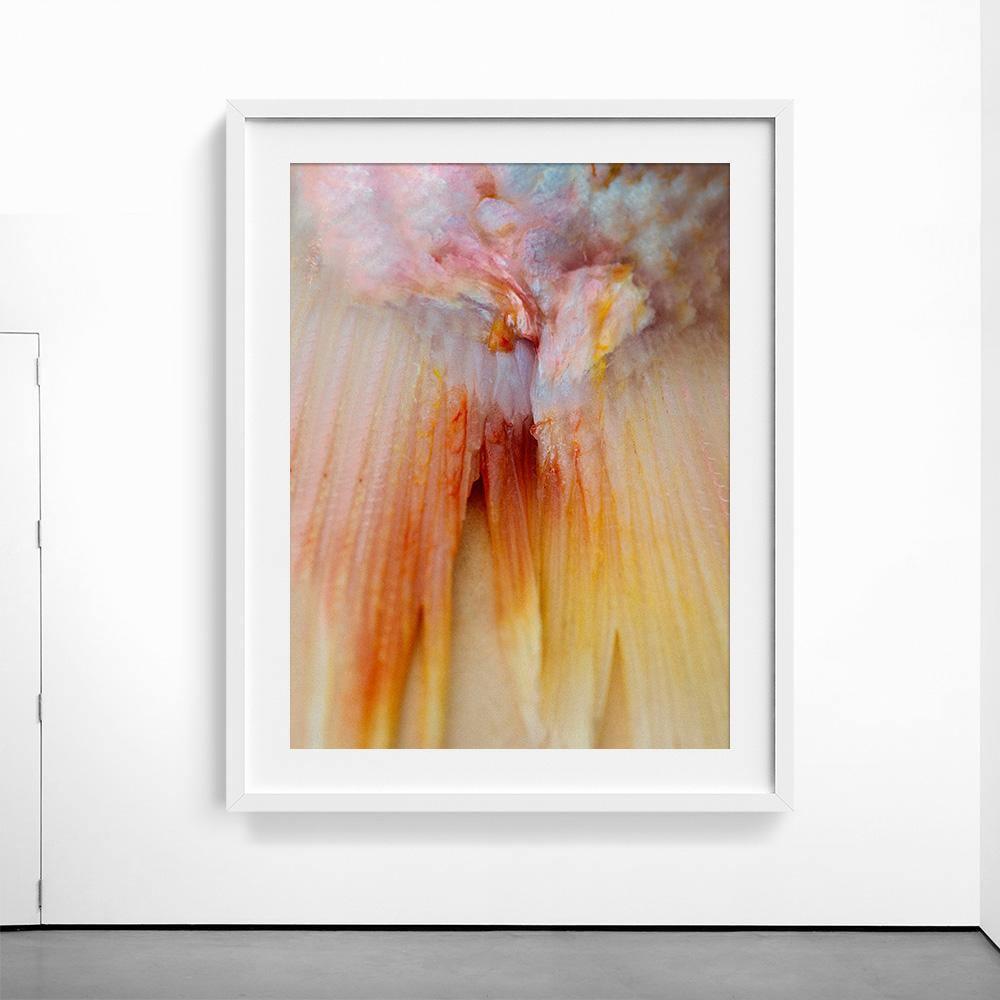 Photograph by Katie Burdon