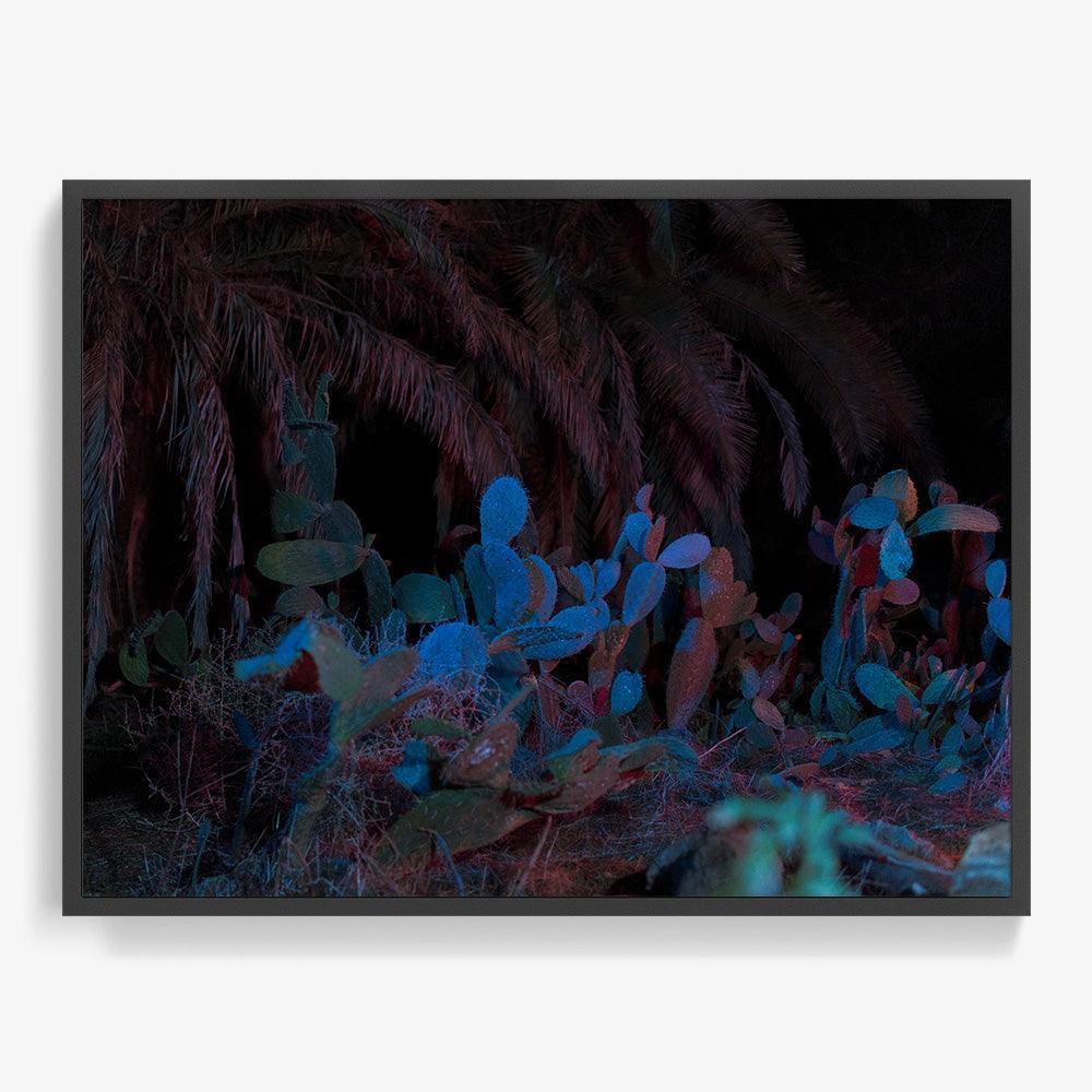 Photograph by Neil Kryszak