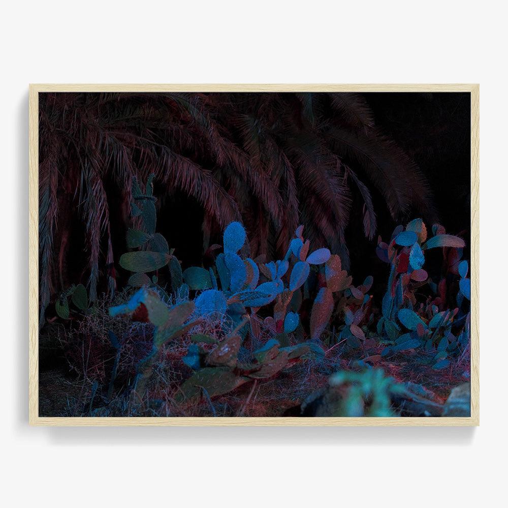 Photograph by Neil Kryszak