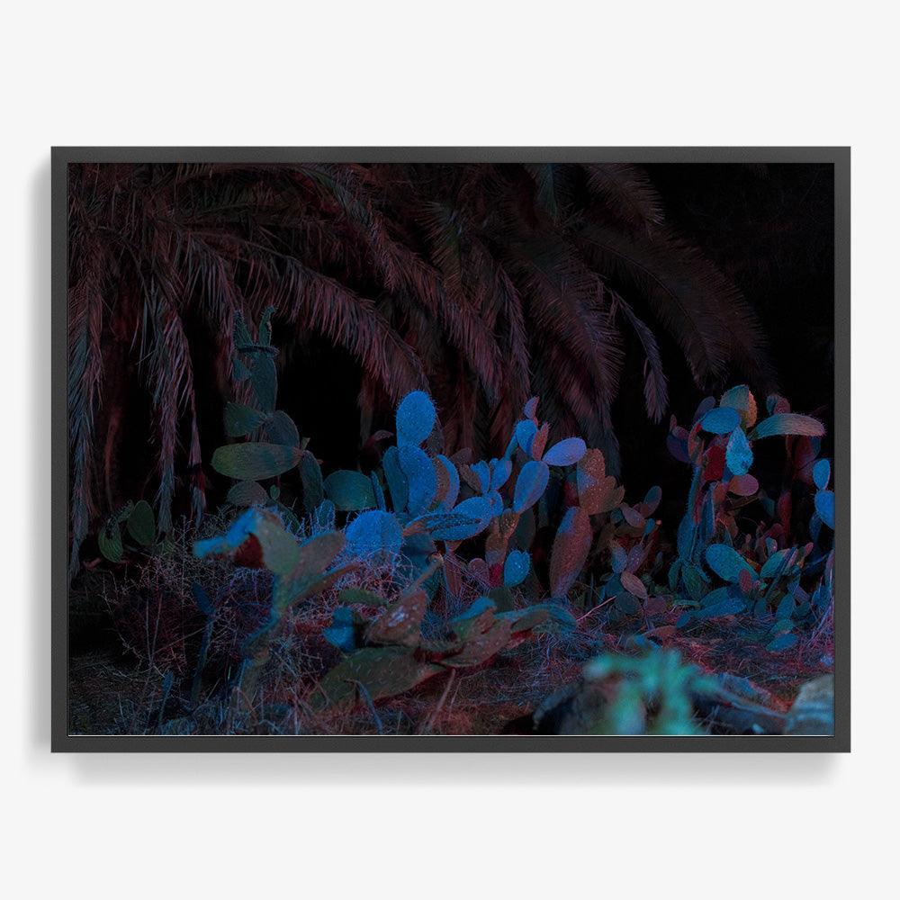 Photograph by Neil Kryszak
