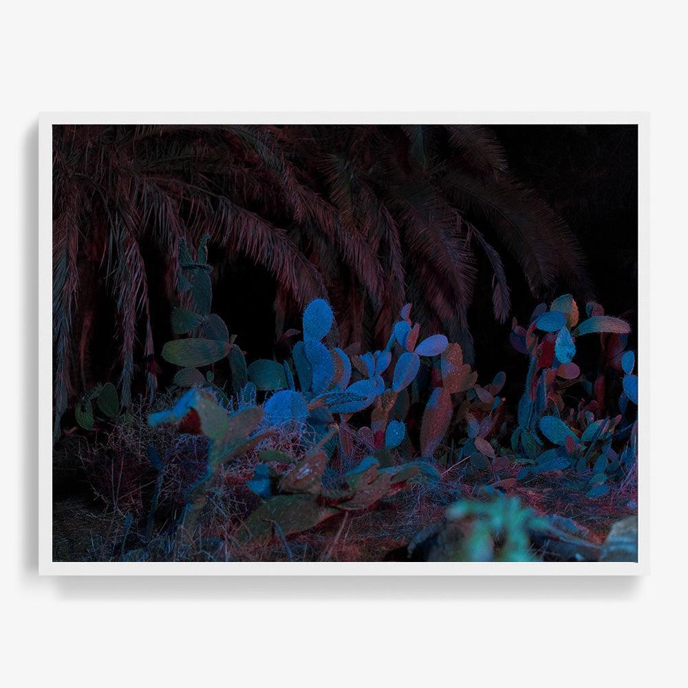 Photograph by Neil Kryszak