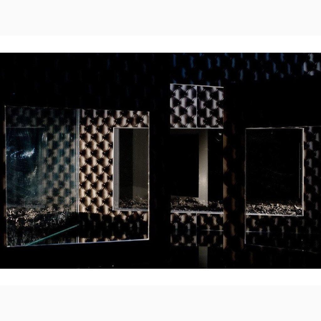 Photograph by Ilka Kramer