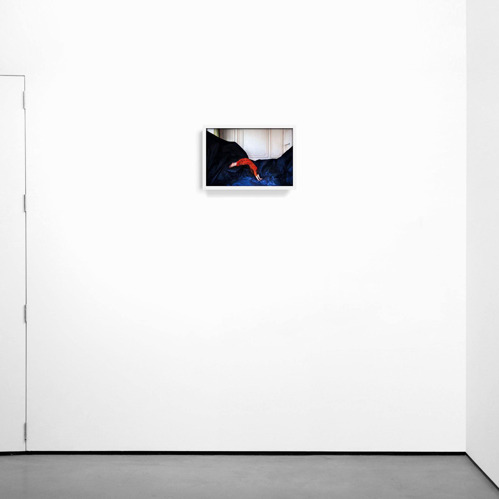 Photograph by The Heidies