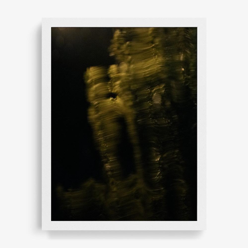 Photograph by Neil Kryszak