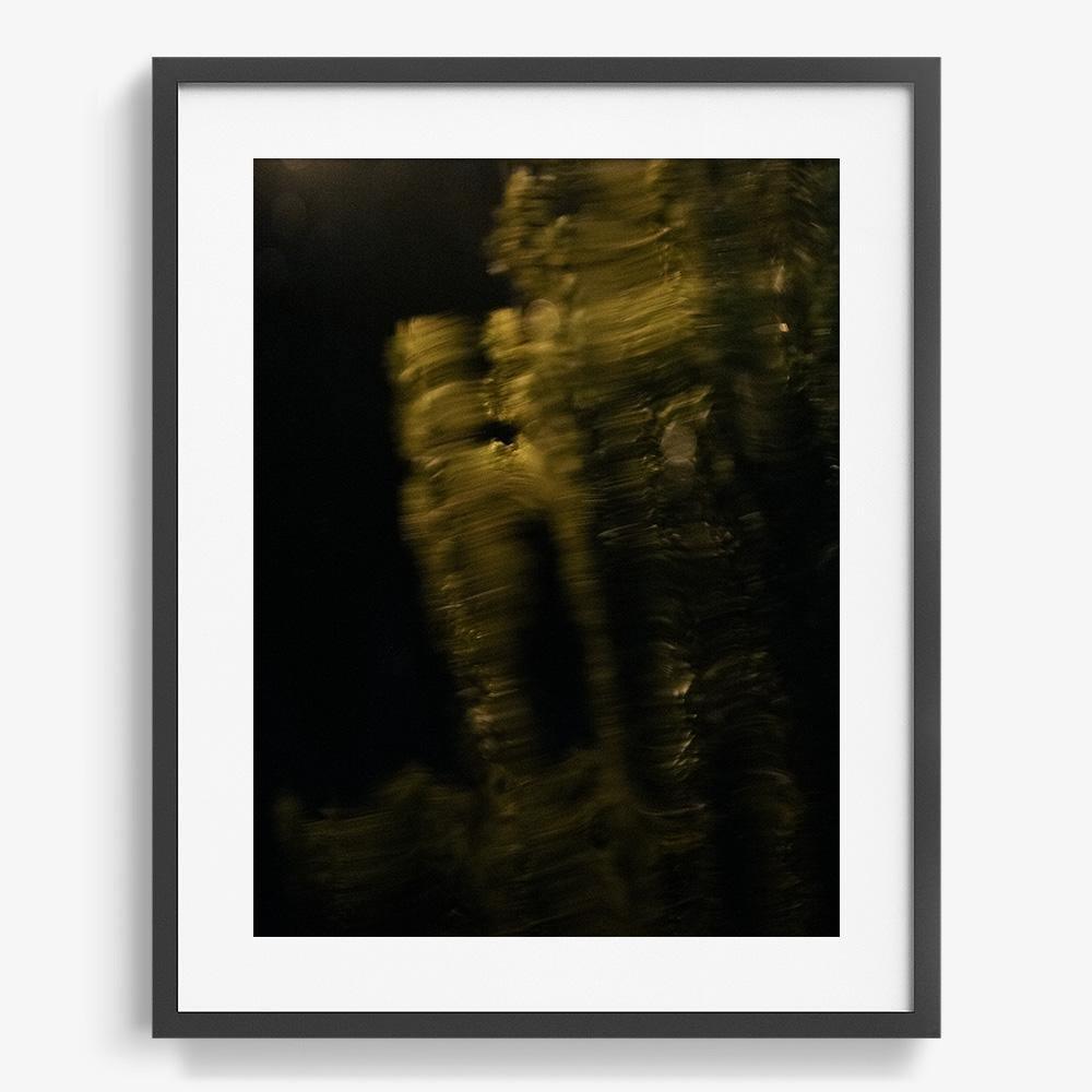 Photograph by Neil Kryszak