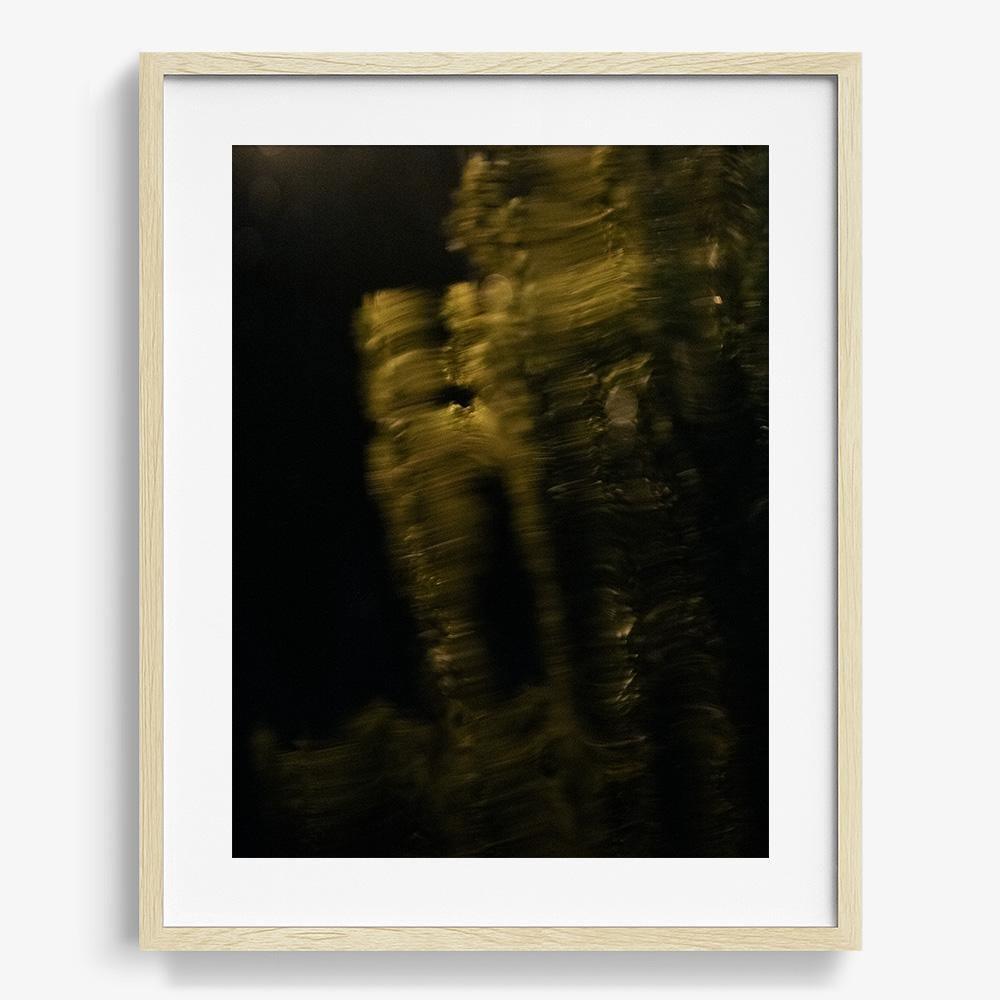 Photograph by Neil Kryszak