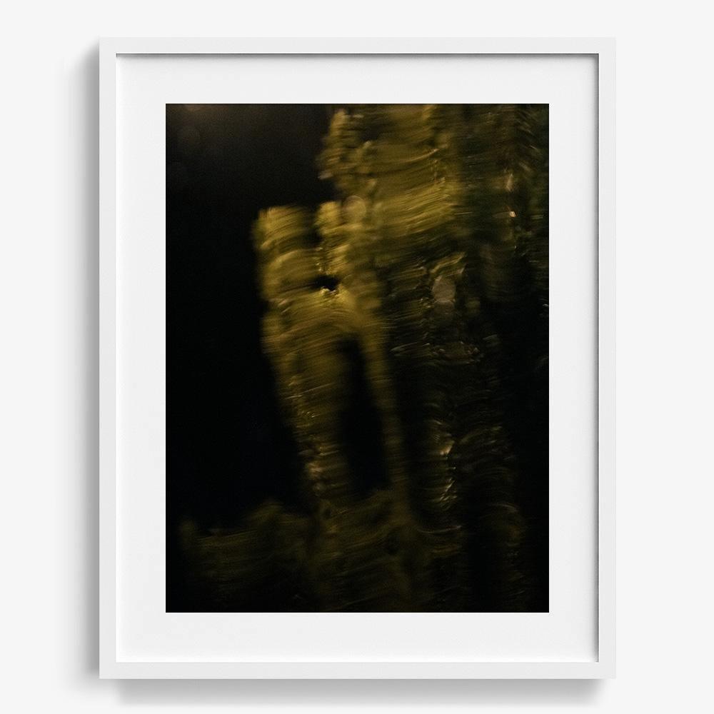 Photograph by Neil Kryszak